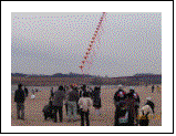 安祥中学校の連凧が見事にあがっていました。